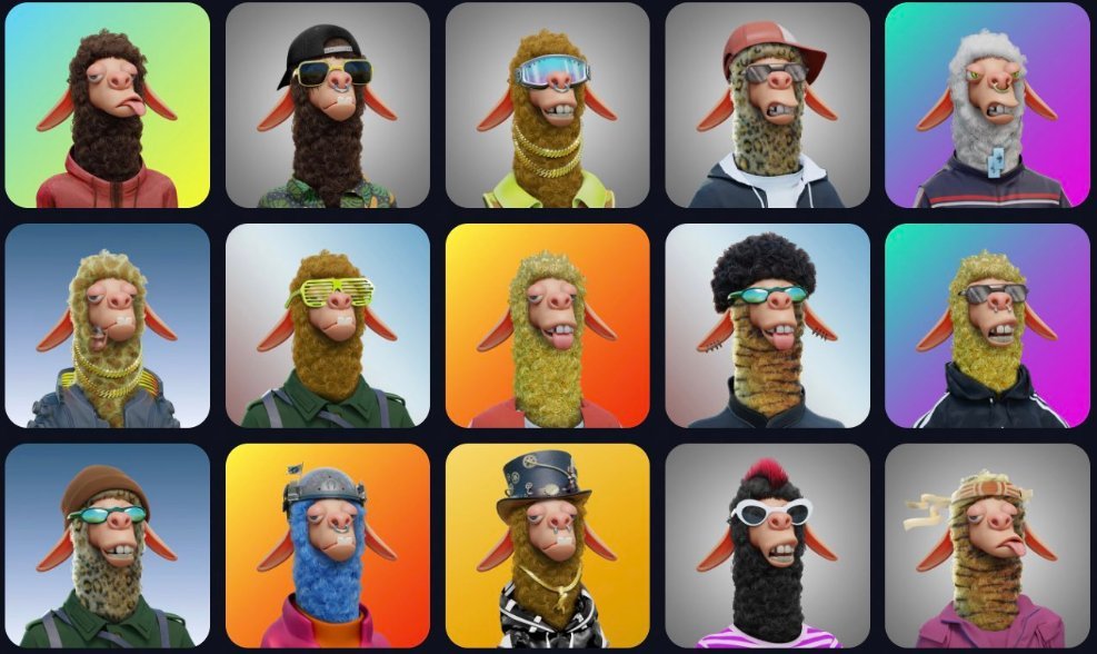 Laidback Llamas final renders collection