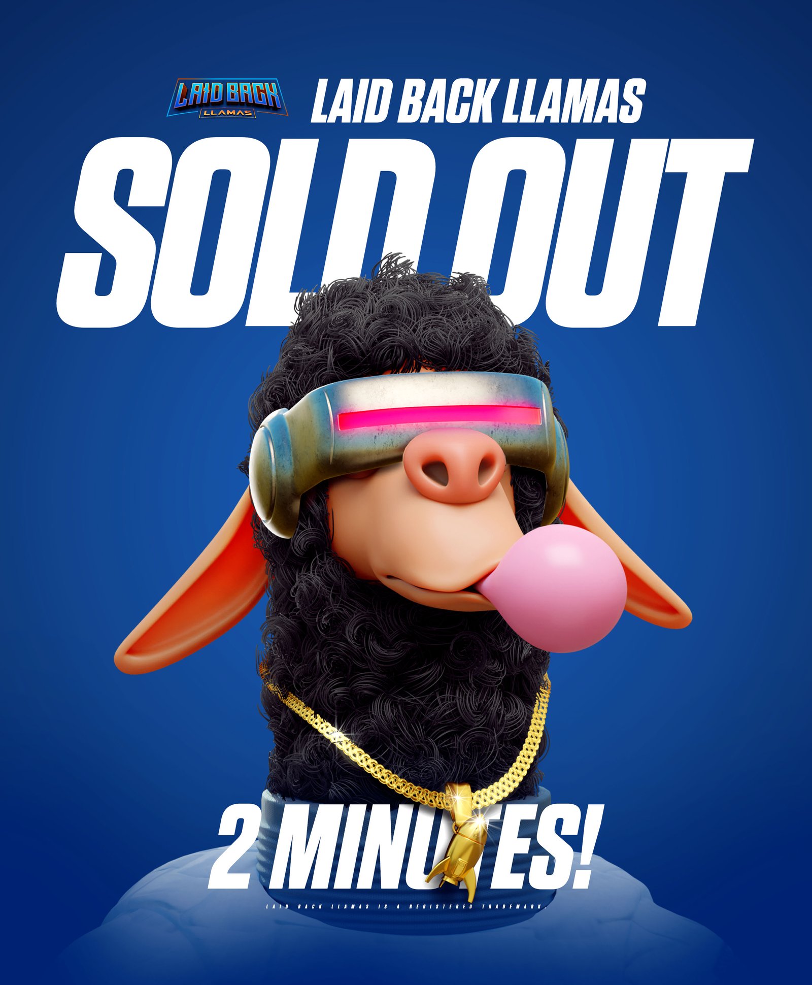 Laidback Llamas — Sold out